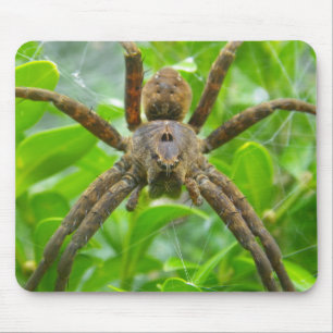 Big Brown Spider Mouse Pad
