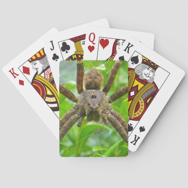 Big Brown Spider Playing Cards (Back)