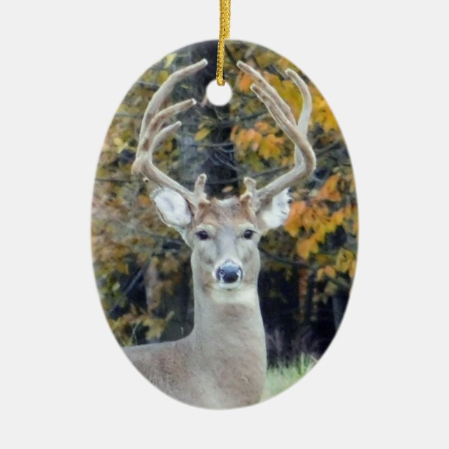 Big Buck Antlers Ornament (Front)