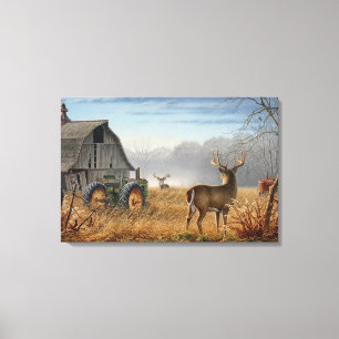 Big Buck Deer Showdown On The Farm Canvas Print