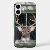 big buck in rustic window