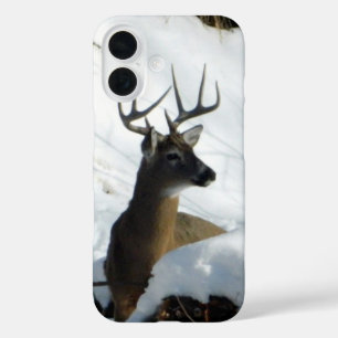 Big Buck iPhone  Case