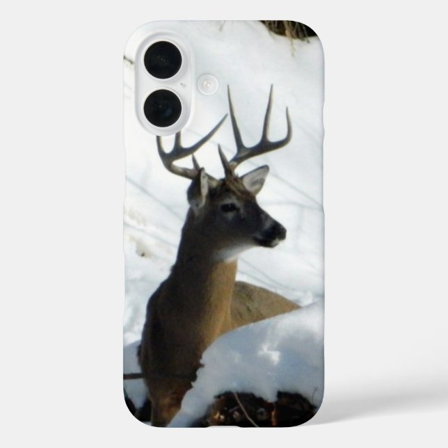 Big Buck iPhone  Case (Back)