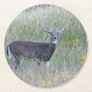 Big Buck (Summer) Paper Coaster