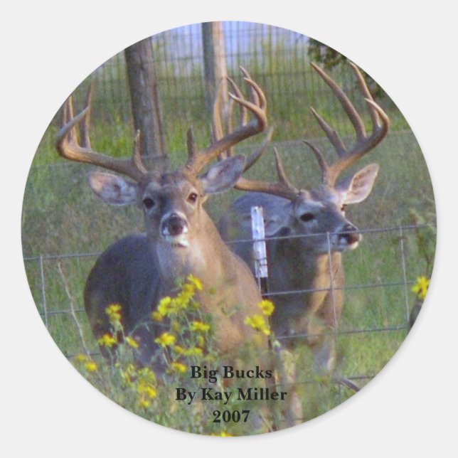 Big BucksBy Kay Miller2007 Classic Round Sticker (Front)