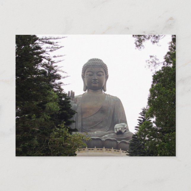 big buddha trees postcard (Front)