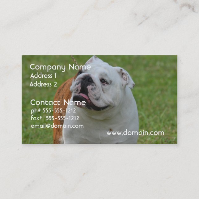 Big Bulldog Business Card (Front)