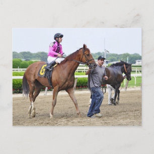 Big Business, Belmont Park Postcard