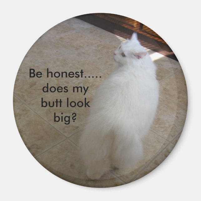 Big butt?-No tail cat Magnet (Front)