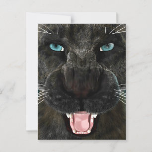 Big Cat Black Panther Postcard