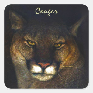 Big Cat Cougar Mountain Lion Art Design Square Sticker