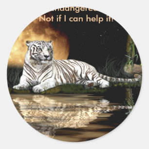 BIG CAT Endangered Species Series Classic Round Sticker