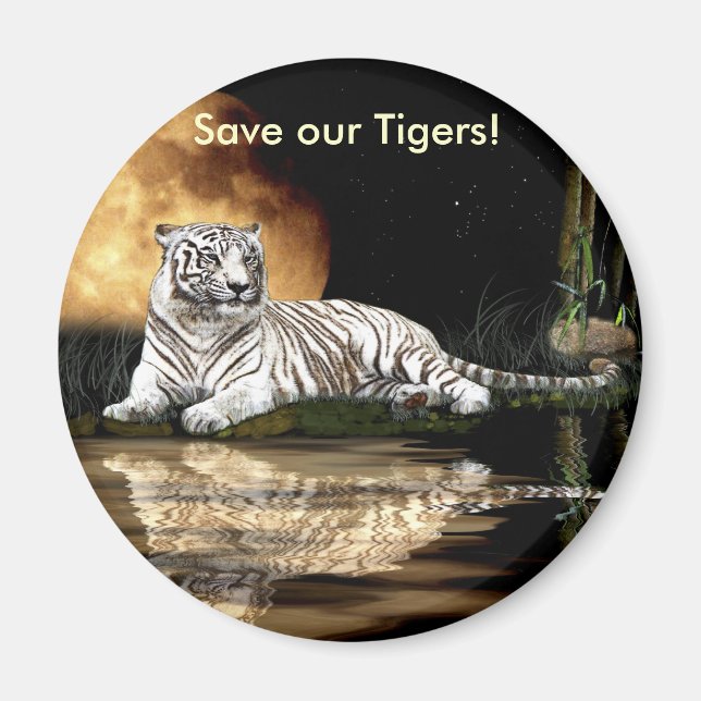 BIG CAT Endangered Species Series Magnet (Front)