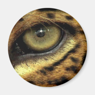 BIG CAT Endangered Species Series Magnet