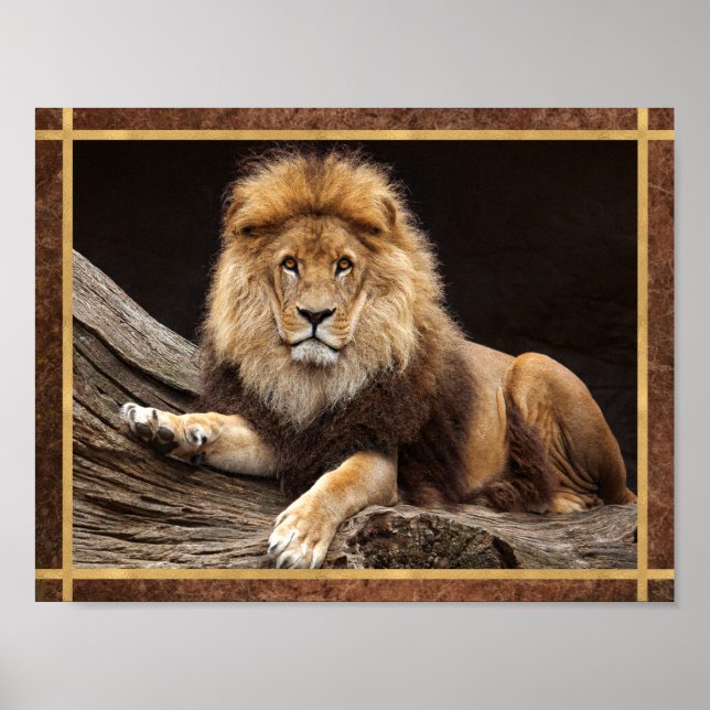 Big Cat Lion Photo Poster (Front)