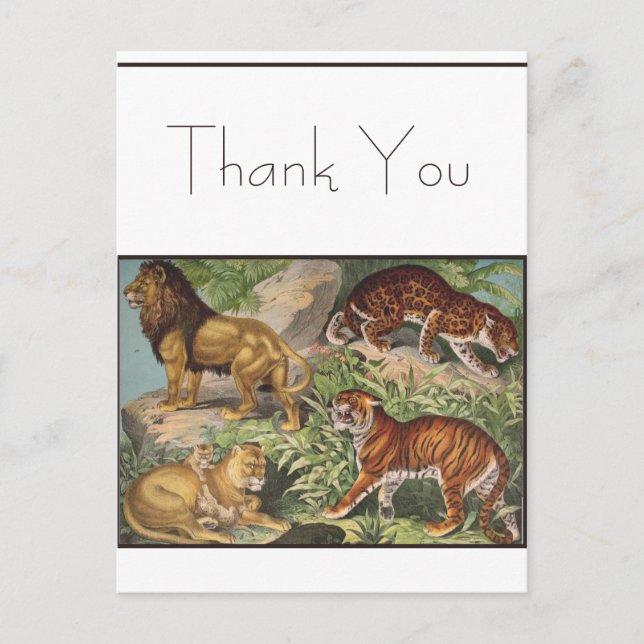 Big Cat Lions Tigers, Leopards, Animals Print Postcard (Front)