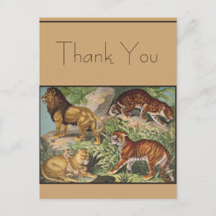 Big Cat Lions Tigers, Leopards, Animals Print Postcard