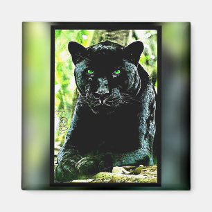 Big Cat Models: Green Eyed Black Panther Magnet