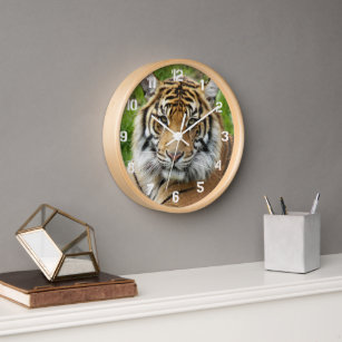 Big Cat Sumatran Tiger Photo Clock