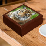 Big Cat Sumatran Tiger Photo Gift Box<br><div class="desc">Store trinkets,  jewellery and other small keepsakes in this wooden gift box with ceramic tile featuring the photo image of a big,  beautiful Sumatran Tiger,  an endangered wildlife species. Select your gift box size and colour.</div>