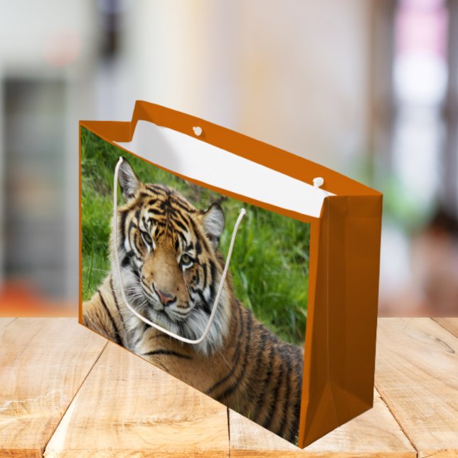 Big Cat Sumatran Tiger Photo Large Gift Bag (In Situ)