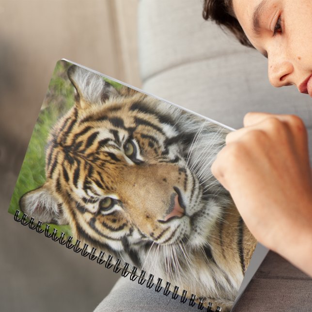 Big Cat Tiger Photo Notebook (In Situ)