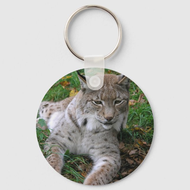 Big Cats - 11 Key Ring (Front)