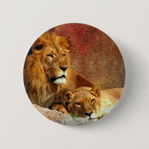 Big Cats - 6 6 Cm Round Badge