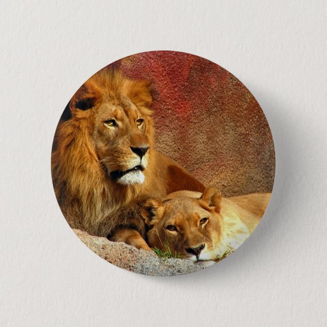 Big Cats - 6 Cm Round Badge (Front)