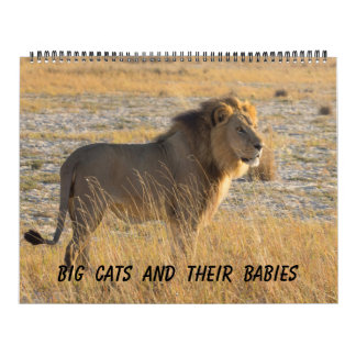 BIG CATS AND THEIR BABIES CALENDAR