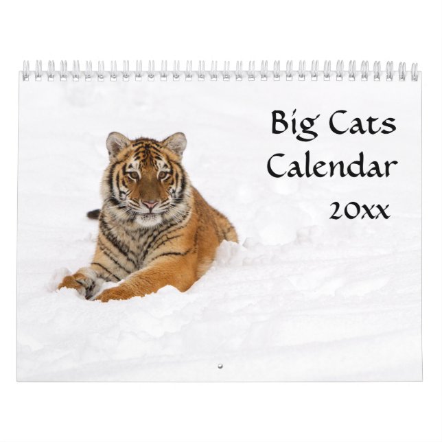 Big Cats Calendar (Cover)