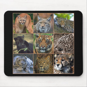 Big cats mouse pad