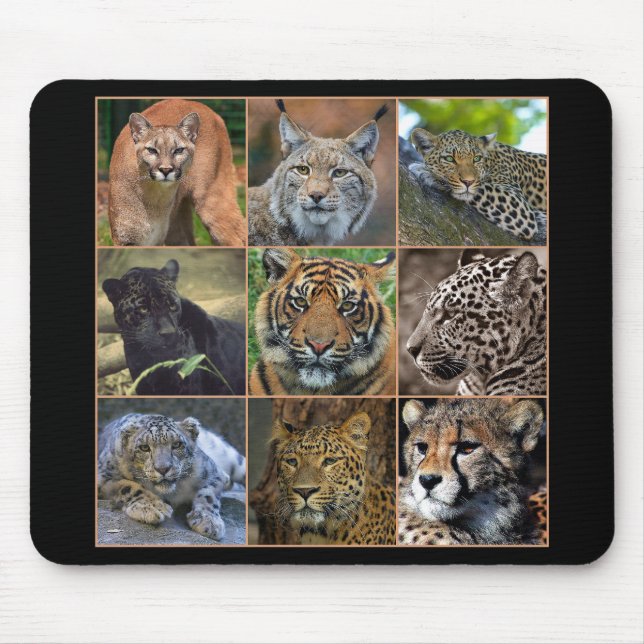 Big cats mouse pad (Front)