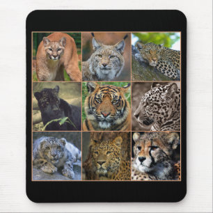 Big cats mouse pad