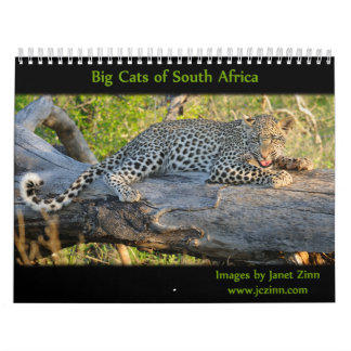 Big Cats of South Africa Calendar