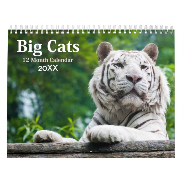 Big Cats Wildlife Calendar 2021 (Cover)