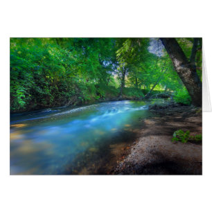 Big Chico Creek