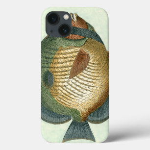 Big Colourful Fish iPhone 13 Case
