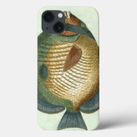 Big Colourful Fish