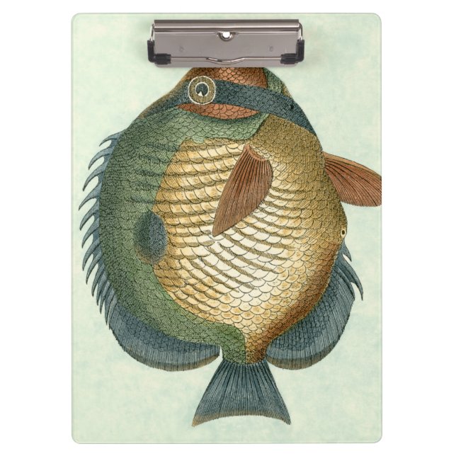Big Colourful Fish Clipboard (Front)