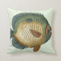 Big Colourful Fish
