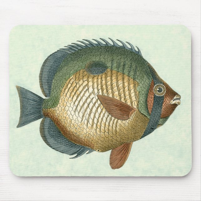 Big Colourful Fish Mouse Pad (Front)