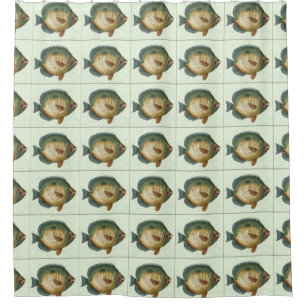 Big Colourful Fish Shower Curtain