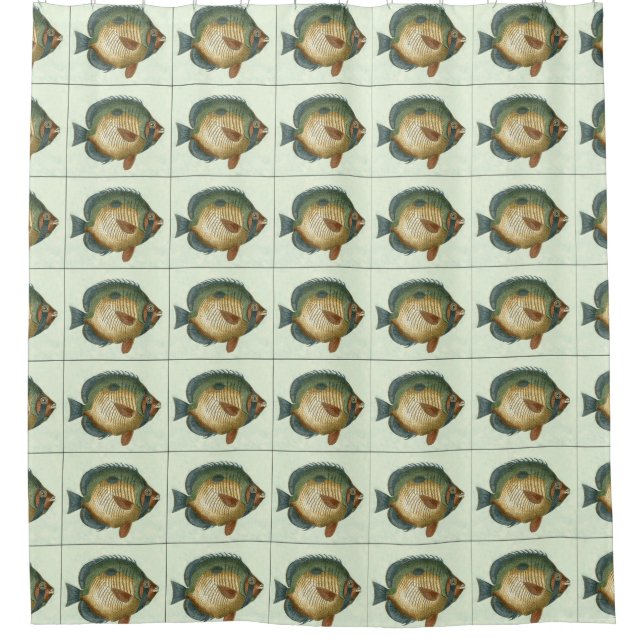 Big Colourful Fish Shower Curtain (Front)