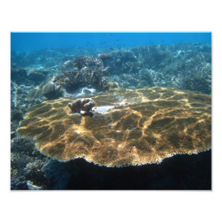 Big Corral Photo Print