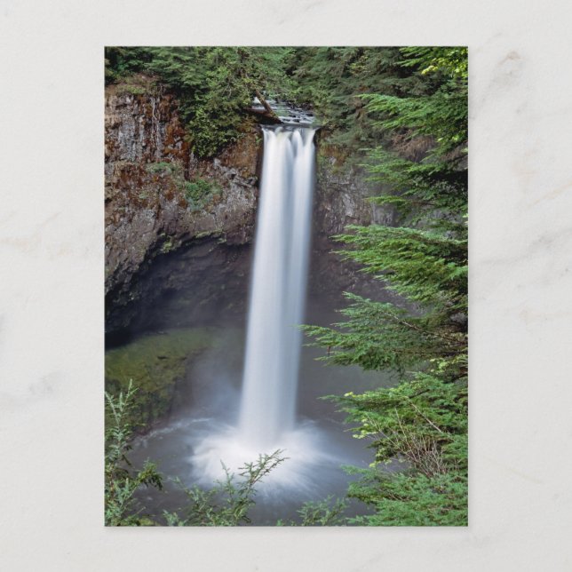 Big Creek Falls Postcard (Front)