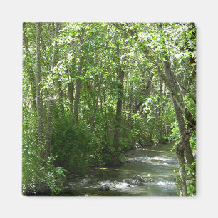 Big Creek in the Summer Time..... Magnet