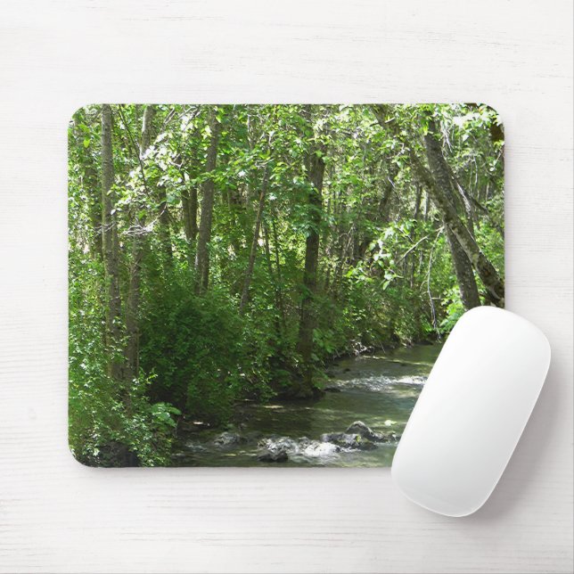 Big Creek in the Summer Time..... Mouse Pad (With Mouse)