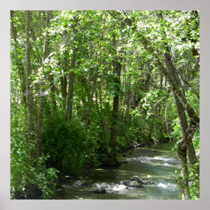 Big Creek in the Summer Time...... Poster