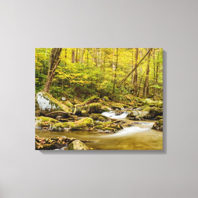 Big Creek | North Carolina Canvas Print (Front)